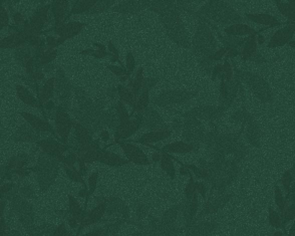 clinic4-home-floral-bg