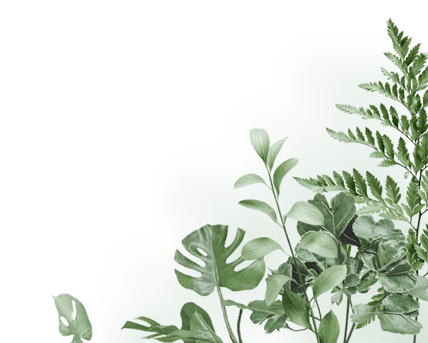 clinic4-home-plants-bg